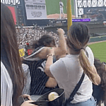 Chicago white sox