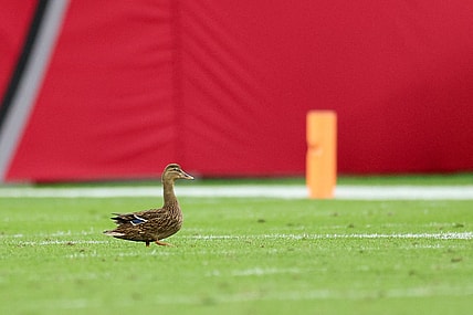 NFL: Carolina Panthers at Tampa Bay Buccaneers