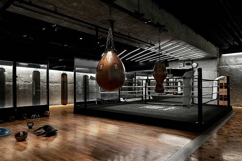 punching bag and boxing ring