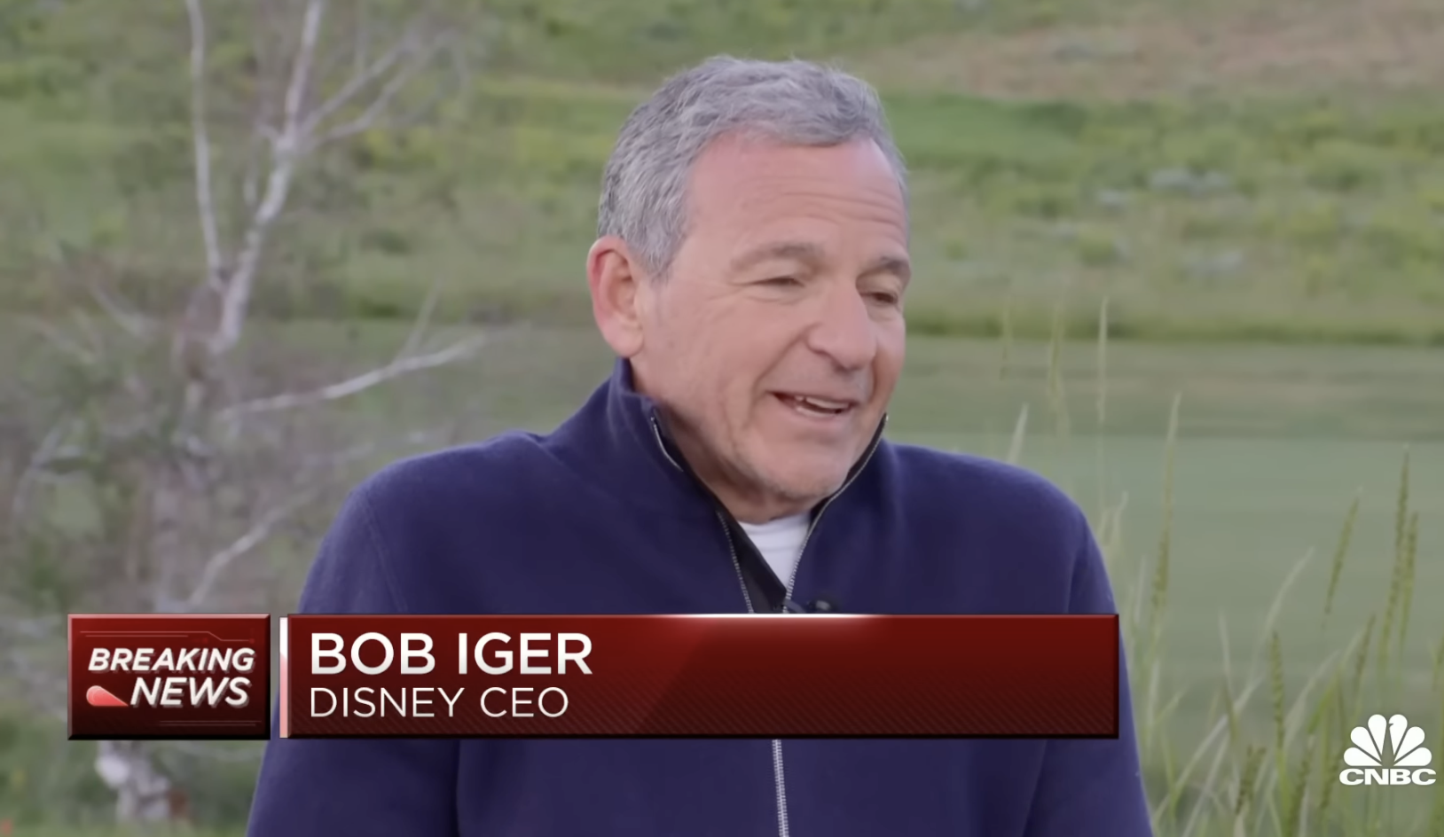 Bob Iger