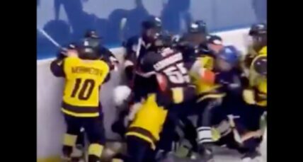 youth hockey fight