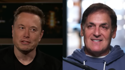 Elon Musk Calls Mark Cuban A ‘Racist’, Suggests They Settle Things In A UFC-Style Fight