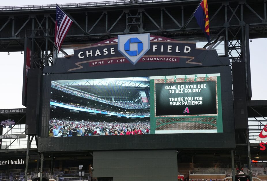 Arizona Diamondbacks