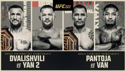 ufc 323 banner